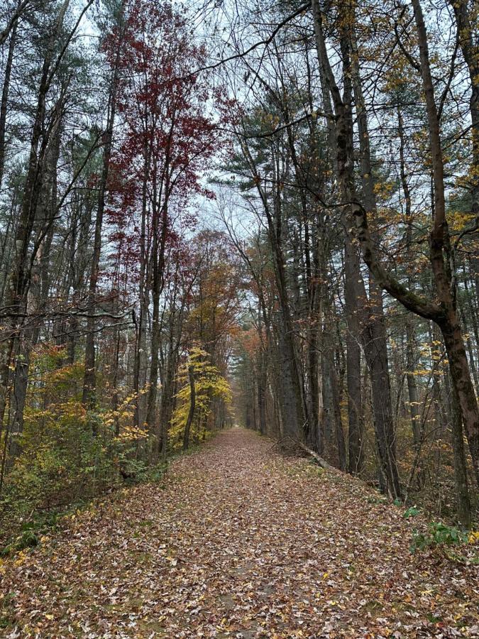 Escape To A Streamside Cabin In The Lower Catskills 워츠버러 외부 사진