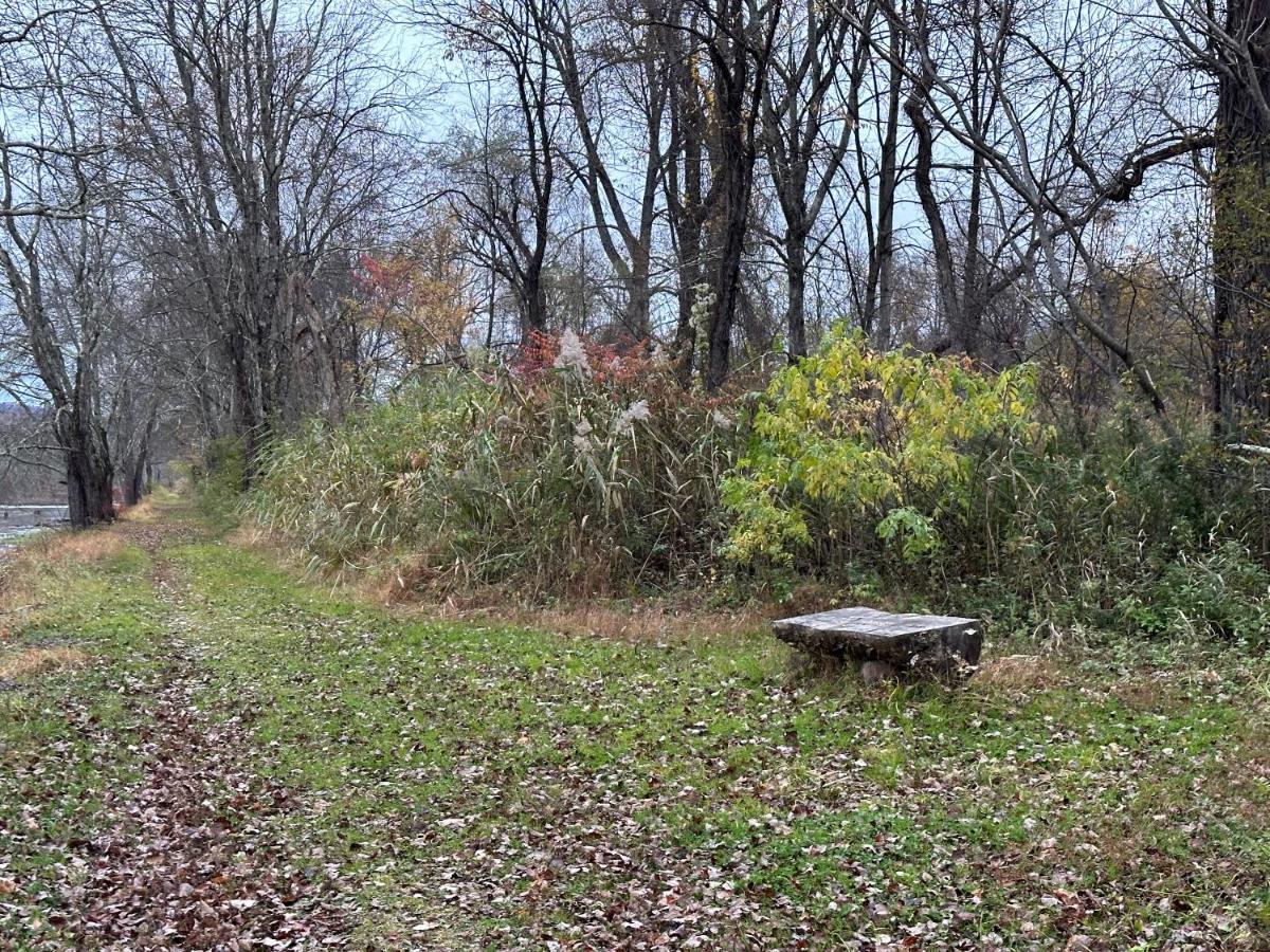 Escape To A Streamside Cabin In The Lower Catskills 워츠버러 외부 사진