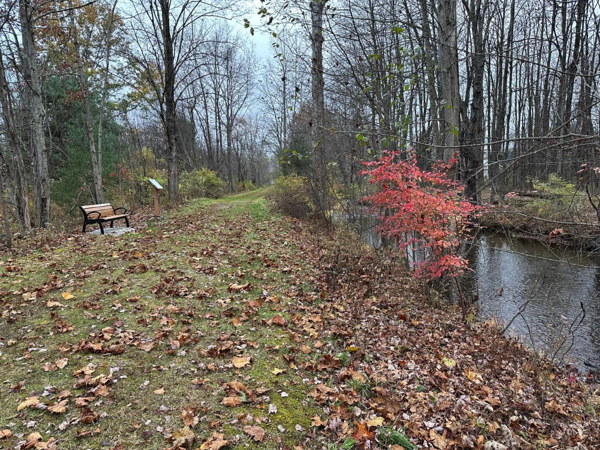 Escape To A Streamside Cabin In The Lower Catskills 워츠버러 외부 사진